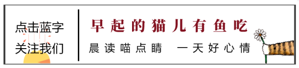 中股配资平台官网 牛市来了？！